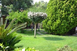 Gallery image of Agriturismo Marila’ in Sabaudia