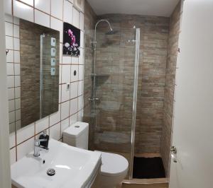 a bathroom with a shower and a toilet and a sink at Apartamento Barajas. Aeropuerto/Ifema in Madrid