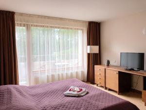 a hotel room with a bed and a tv and a window at Sancta Elena in Šventoji