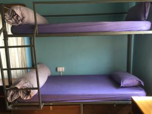 Voodi või voodid majutusasutuse Nepalaya Eco Hostel toas