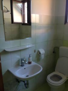 a bathroom with a sink and a toilet at Apartments Ribić in Umag +24 photos