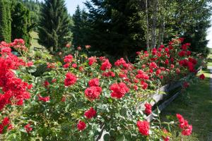 Gallery image of Biogasthaus Wanker in Techelsberg am Worthersee