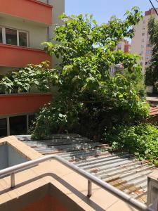 a tree sitting on top of a bench in front of a building at Apartment Lili in Blagoevgrad