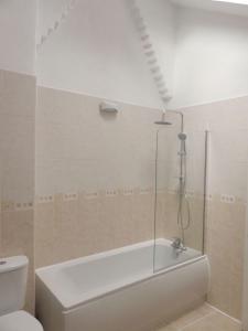 a bathroom with a shower with a tub and a toilet at Bright, spacious 2 bedroom flat by Russell Square in London