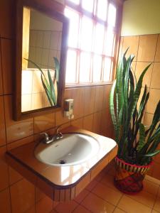 uma casa de banho com um lavatório e um vaso de plantas em Rancho Amalia em Naranjo