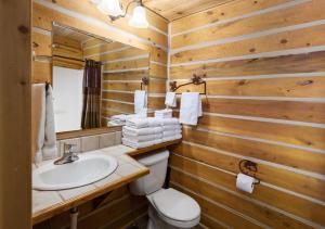a bathroom with a toilet and a sink at Rock Crest Lodge & Cabins in Custer