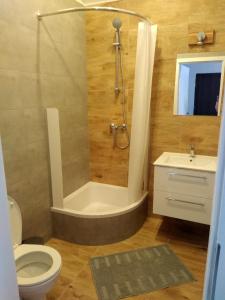 W łazience znajduje się prysznic, toaleta i umywalka. w obiekcie Apartament Be Happy Nr 2 w mieście Gdynia