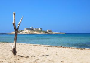 a tree sticking out of the sand on a beach at Portopalosuite in Portopalo