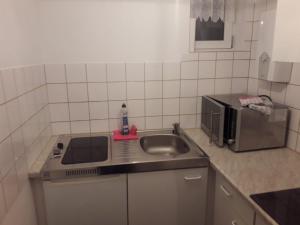 フリードリッヒシュブルンにあるFerienhaus Schulenbergの小さなキッチン(シンク、電子レンジ付)