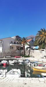 a group of boats are docked in a harbor at Studio apartman Zana in Gradac