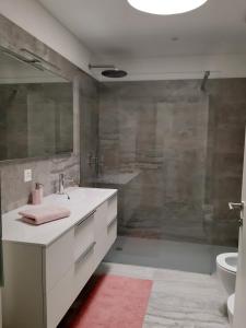 ein Bad mit einem Waschbecken, einer Dusche und einem WC in der Unterkunft GaLa Appartamento in Bellinzona