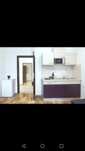 a kitchen with a sink and a microwave at Apartment Luskino 22 in Matulji