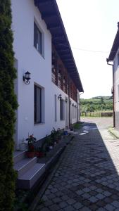 a white building with stairs and potted plants on it at Pensiunea Georgiana in Şieu