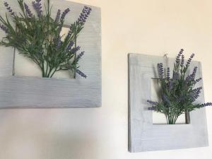 Fotografie z fotogalerie ubytování B&B Bellavista v destinaci Castro