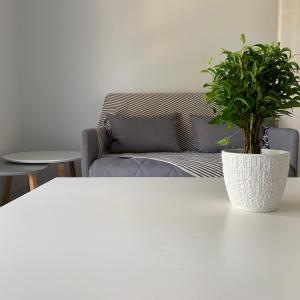 Posezení v ubytování Gerakini apartment