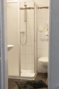 een badkamer met een douche en een toilet bij Landhaus Nauenburg in Heere