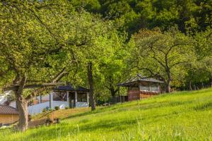 ein Haus auf einem Hügel mit Bäumen im Hintergrund in der Unterkunft Trout Cottage in Bran