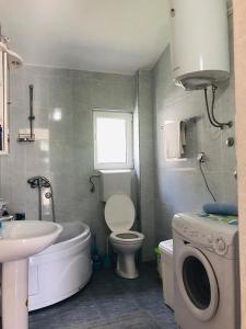 a bathroom with a toilet sink and a washing machine at D&N Apartment in Bar