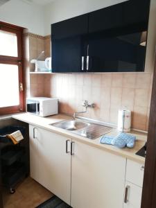 een keuken met een wastafel en een magnetron bij Appartamento Ivrea Centro - Sito UNESCO in Ivrea