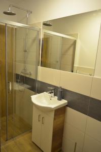 a bathroom with a sink and a glass shower at Kolorowy Domek in Kasina Wielka