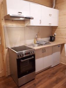 uma pequena cozinha com um fogão e um lavatório em Sarzynówka pod Sosną em Krasnobród