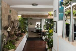 Zahrada ubytování Colombe Hotel Boutique