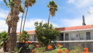 a building with palm trees and flowers at Minsk Hotels - Extended Stay, I-10 Tucson Airport in Tucson