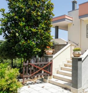 una scala che porta a una casa con un albero di La Dimora Di Zia Katia a Polignano a Mare