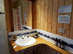 y baño con lavabo y espejo. en Posada Queulat, en Puerto Puyuhuapi