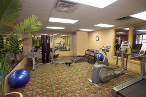 Fitness centrum a/nebo fitness zařízení v ubytování Chateau Nova Kingsway