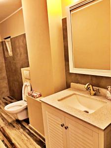 ein Badezimmer mit Waschbecken, Toilette und Spiegel in der Unterkunft Dream Residence nerva traian! in Bukarest