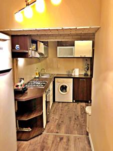 eine kleine Küche mit Spüle und Geschirrspüler in der Unterkunft Dream Residence nerva traian! in Bukarest + 7 Fotos