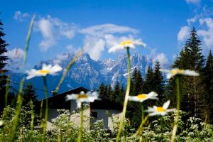 Paesaggio naturale nelle vicinanze dell'appartamento