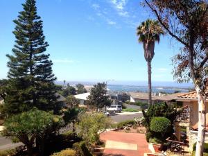 a palm tree in the middle of a street at 3 Bedrooms Guest House, Pacific Beach, Sea World, Downtown,& 3 bus lines-3 in San Diego