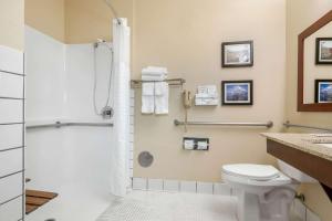 a bathroom with a toilet and a shower at Comfort Inn Medford North in Medford