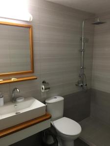 a bathroom with a toilet and a sink and a mirror at Family Hotel Verona in Sozopol