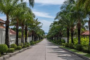 a palm tree lined street in a villa at AnB poolvilla 2BR with private beach in pratamnak in Pattaya South