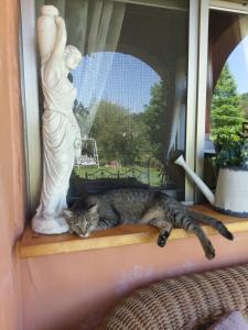 Eine Katze, die auf einem Fensterbrett neben einer Statue liegt. in der Unterkunft Bramasole B&B in Puli