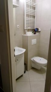 a small bathroom with a toilet and a sink at Art Apartman in Plitvička Jezera