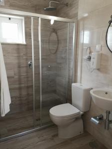 a bathroom with a shower and a toilet and a sink at Nature Guesthouse in Lagos +133 photos