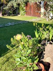 A garden outside Villa Pontes