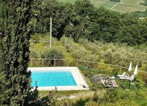 a swimming pool in the middle of a field with trees at Villa Francesca in Rignano sullʼArno