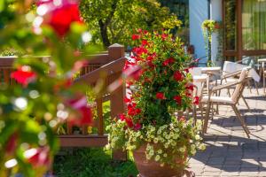 Ogród w obiekcie Hotel Das Gastein - ganzjährig inklusive Alpentherme Gastein & Sommersaison inklusive Gasteiner Bergbahnen