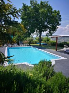 a swimming pool with chairs and a tree at La Dolce Vallata in Montefiore dellʼAso