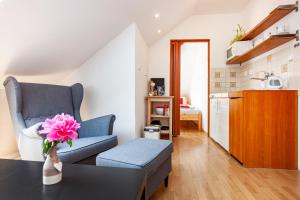 Kuchyňa alebo kuchynka v ubytovaní Apartmány Nevädza