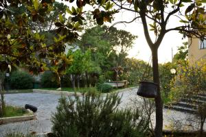 マスカルチーアにあるB&B Le Perniciのベンチ付きの庭園、木の入ったバスケット