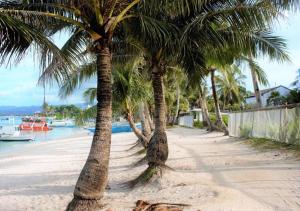 a row of palm trees on a sandy beach at Happy's Homestay in Boracay