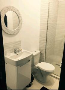 a bathroom with a toilet and a sink and a mirror at Mamaia Beach Side in Mamaia