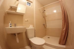 a bathroom with a toilet and a sink and a shower at Elena in Palanga