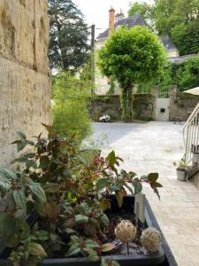 um jardim com plantas numa caixa negra em Chambre Troglodytique Villa Marie Louise em Rochecorbon